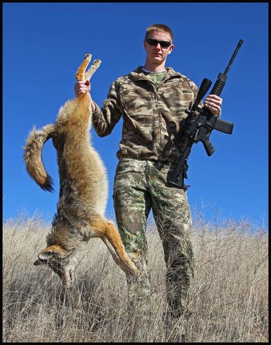 Coyote.jpg