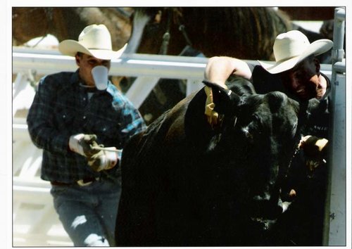jcm 006.jpg