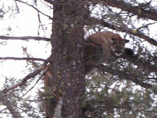 IMG_4376s.jpg