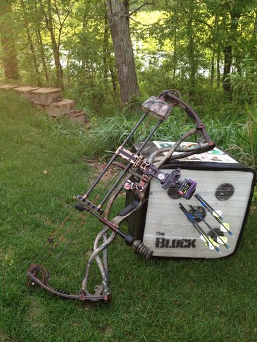 Hoyt Carbon Matrix (upload).jpg