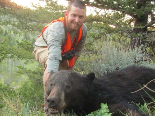 bear1.jpg