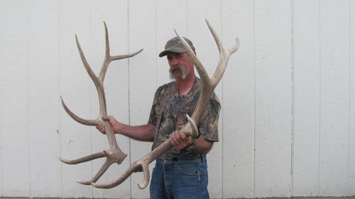 elk sheds 2012 002.jpg