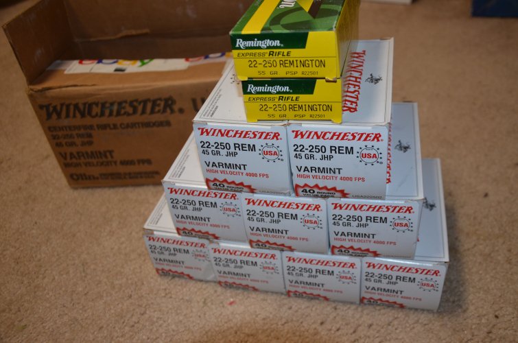 DSC_7515.JPG DSC_7515.JPG