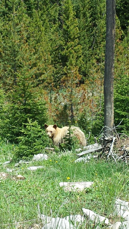 20140620_123954.jpg