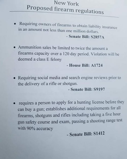 nygunregs.jpg