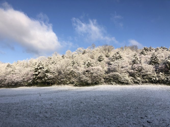 C198120D-7A3E-4BBF-B5A2-D4D93DC4A2B8.jpeg C198120D-7A3E-4BBF-B5A2-D4D93DC4A2B8.jpeg