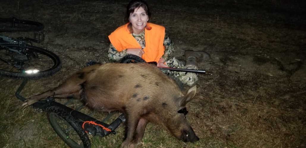 Alicia Pig.jpg Alicia Pig.jpg