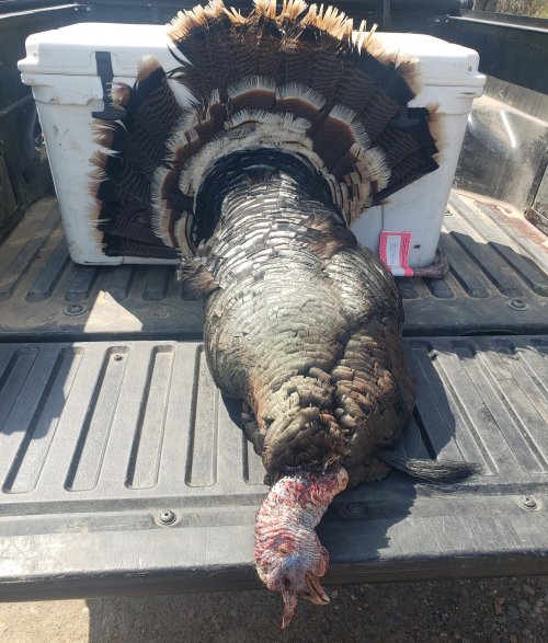 20210422_161807.jpg 20210422_161807.jpg