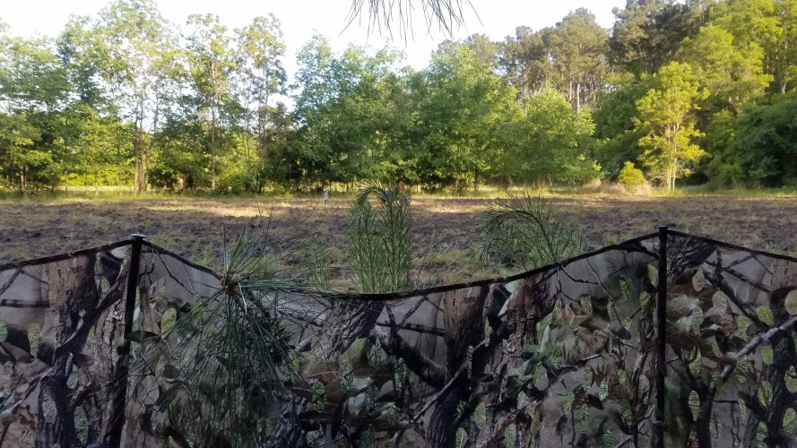 20210426_174836.jpg 20210426_174836.jpg