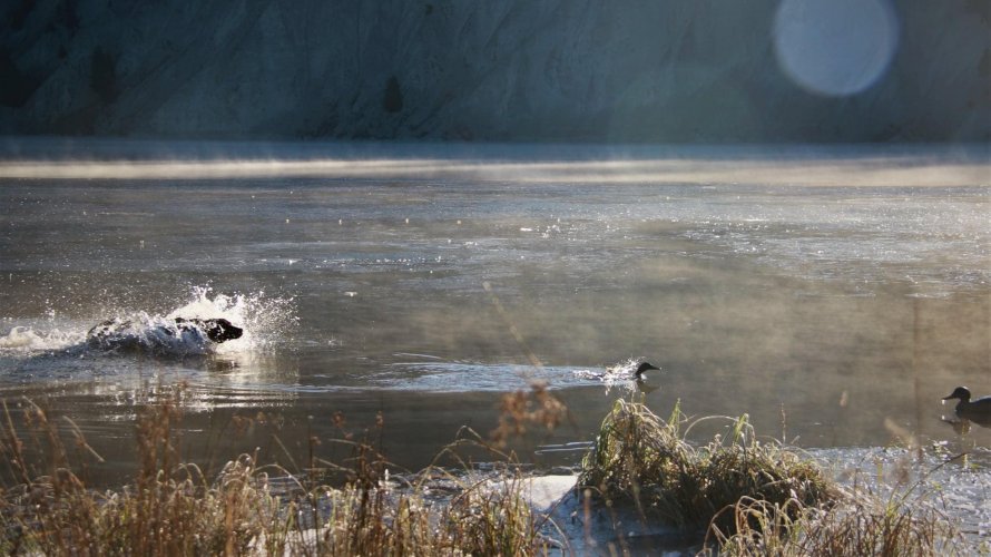 029DB858-9368-4D04-ACBD-86961E800137.jpeg 029DB858-9368-4D04-ACBD-86961E800137.jpeg