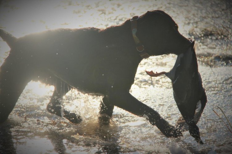 D4A6CBD3-4084-44BE-9B91-5C2AE710A6E7.jpeg D4A6CBD3-4084-44BE-9B91-5C2AE710A6E7.jpeg