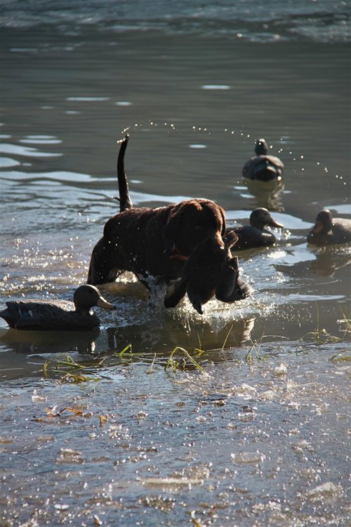 A424E892-AFA7-4F8E-AD1B-5EB17E17F6D9.jpeg A424E892-AFA7-4F8E-AD1B-5EB17E17F6D9.jpeg