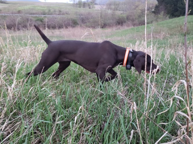 20210414_195314.jpg 20210414_195314.jpg