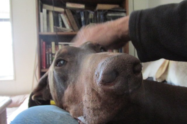 IMG_0019 (1).JPG IMG_0019 (1).JPG