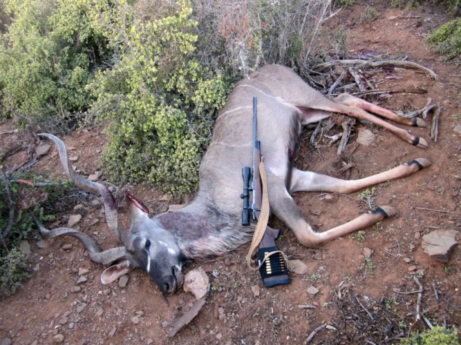 2019-08-28 kudu with gun.JPG