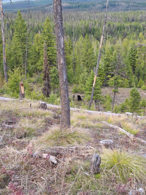 20210430_193858.jpg 20210430_193858.jpg
