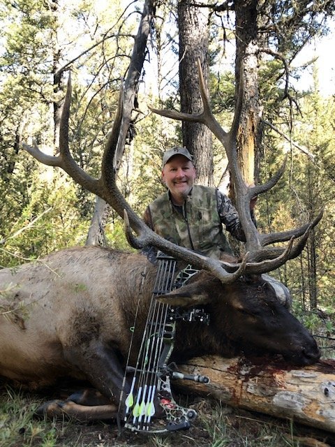 2019 Wyoming Elk.JPG