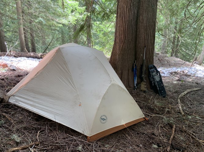 9A6FF8E2-9356-4626-A174-A47CBFAFBC2D.jpeg 9A6FF8E2-9356-4626-A174-A47CBFAFBC2D.jpeg