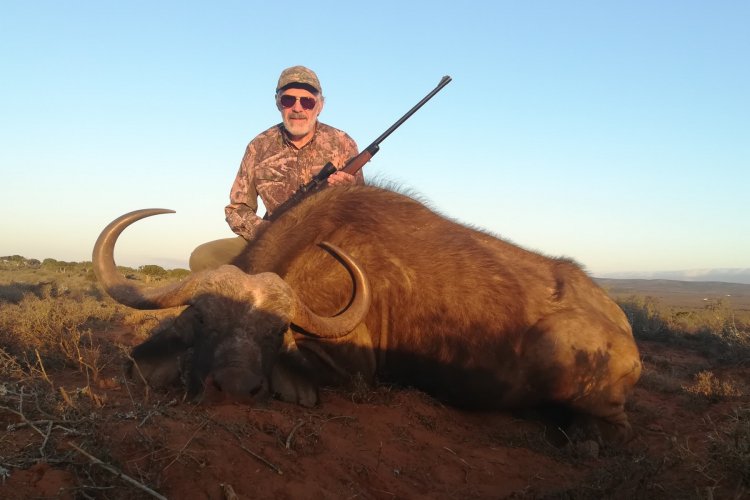 2019-08-26 buffalo posed(2).JPG 2019-08-26 buffalo posed(2).JPG