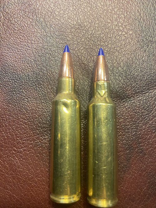 IMG_9228.JPG IMG_9228.JPG