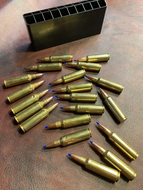 IMG_9229.JPG IMG_9229.JPG