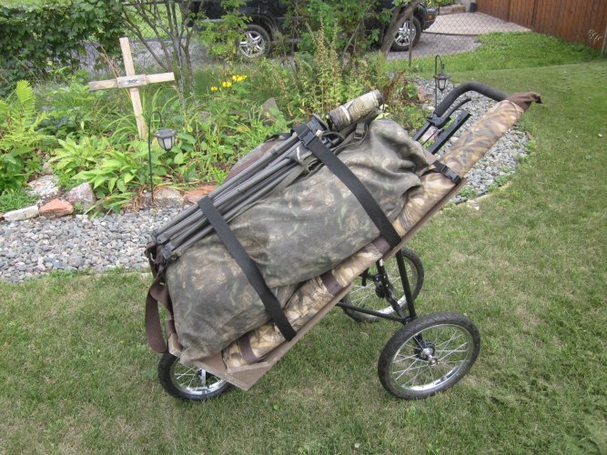 goose cart(1).JPG goose cart(1).JPG