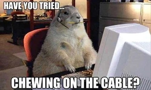 marmot1.jpg marmot1.jpg