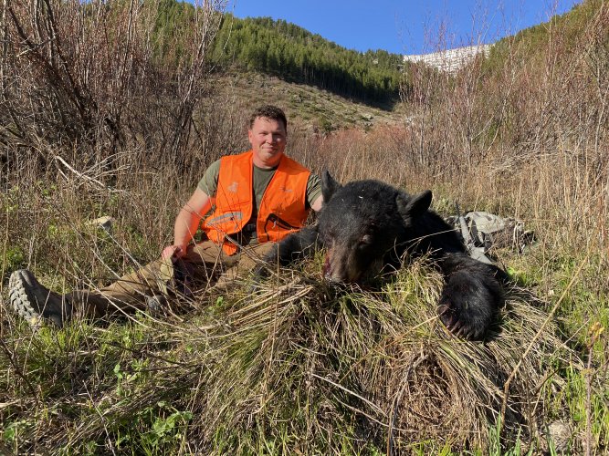 MT Bear 2021.jpg MT Bear 2021.jpg