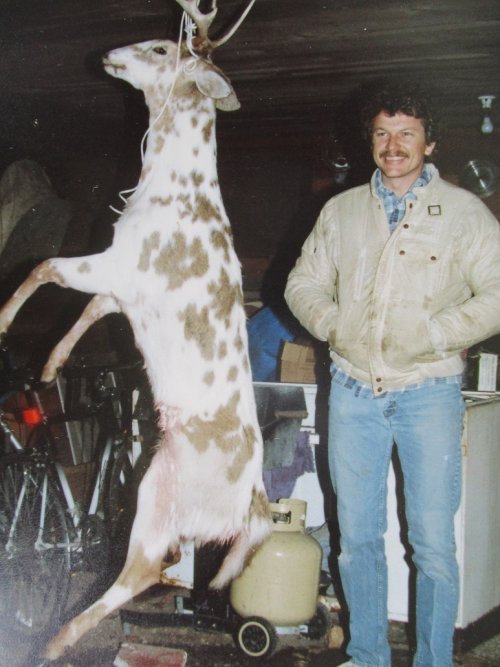 Lynn K. piebald buck.JPG Lynn K. piebald buck.JPG