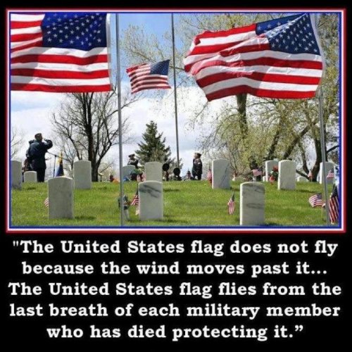 Memorial Day flags waving why.jpg