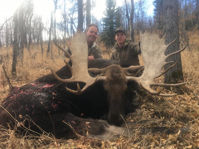 kens moose.jpg kens moose.jpg