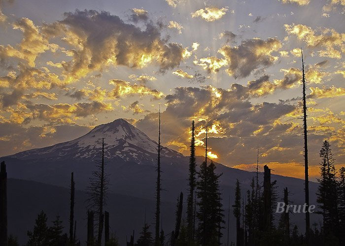 Mt Hood Sunset a-.JPG