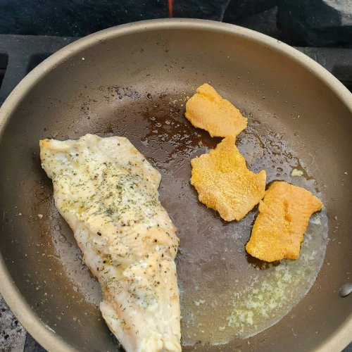 trout 3.jpeg trout 3.jpeg