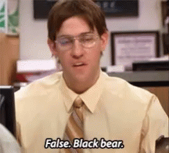 02DC0042-3B4F-4970-9E18-7882E4E3D146.gif 02DC0042-3B4F-4970-9E18-7882E4E3D146.gif