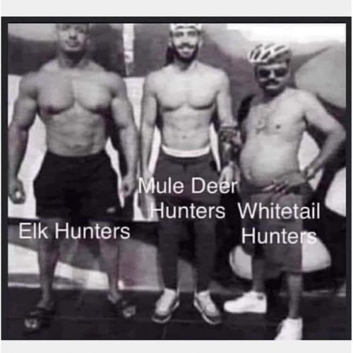 hunters.jpg