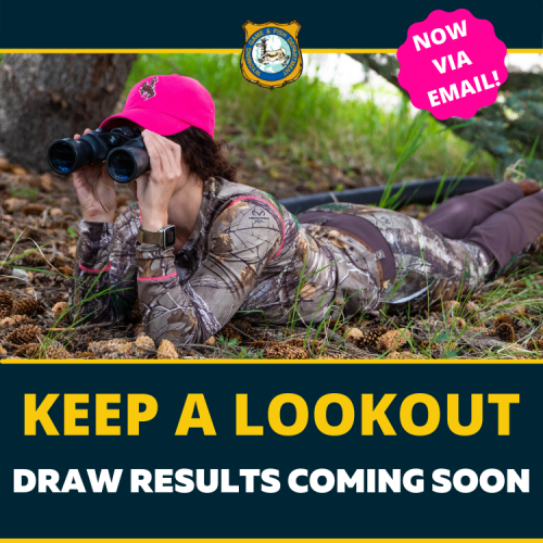 draw-results-coming-soon-1_original.png draw-results-coming-soon-1_original.png