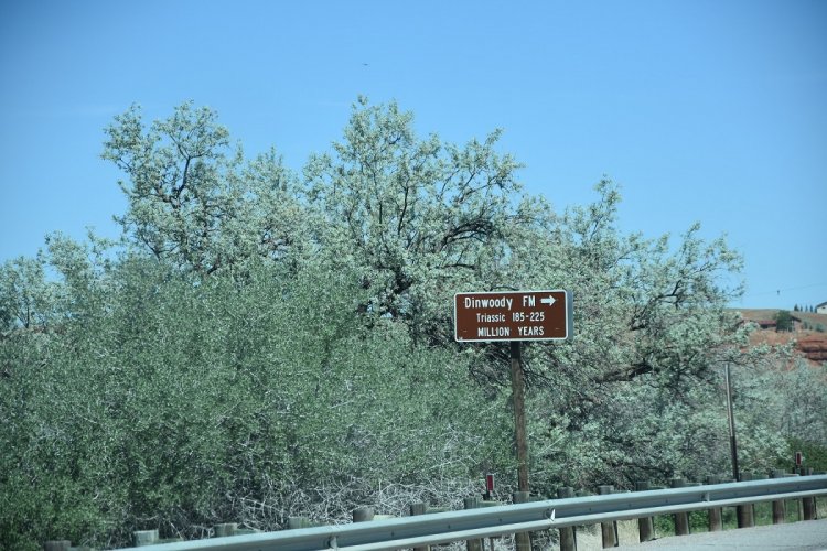 DSC_0003.JPG DSC_0003.JPG