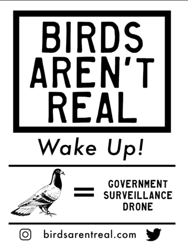1623933988462.png 1623933988462.png