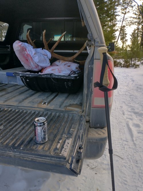 IMG_20201115_104516362_HDR.jpg