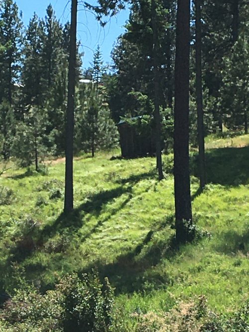 IMG_2375.JPG IMG_2375.JPG