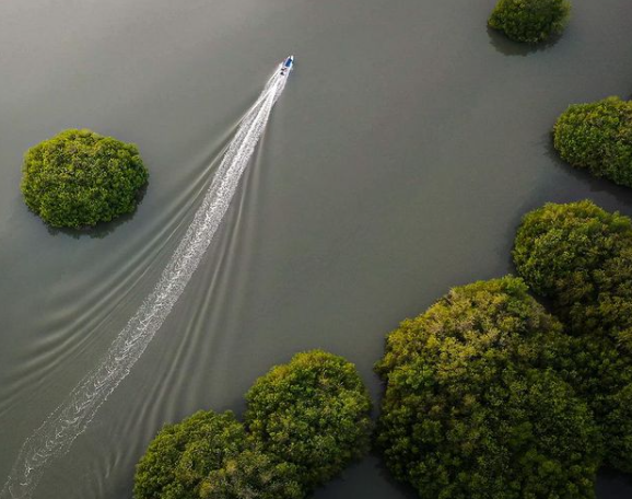 1624553269996.png 1624553269996.png