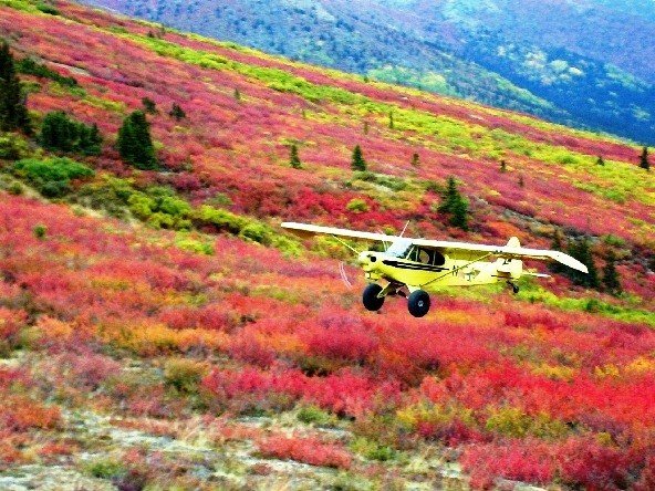super_cub.jpg super_cub.jpg