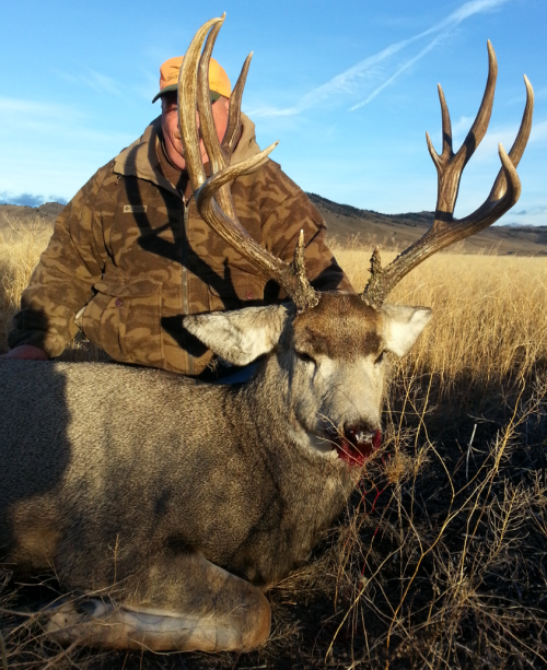 2015-11-15 11.39.16.png