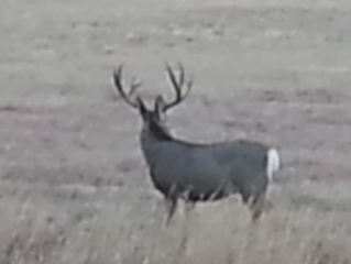 2015-11-12 19.17.52.png