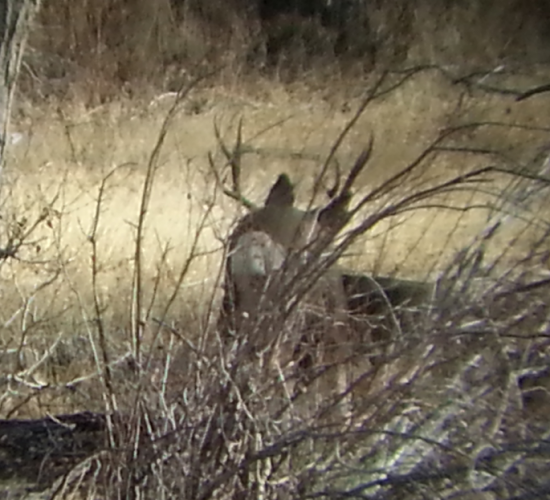 2015-11-13 13.23.05.png