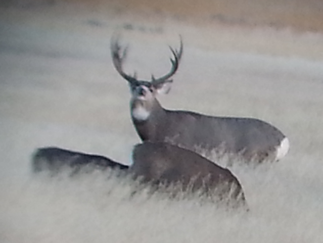 2015-11-14 18.21.10.png