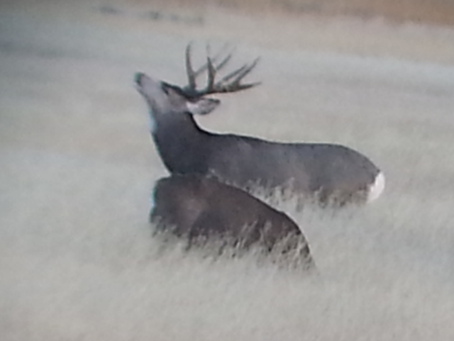 2015-11-14 18.20.33.png