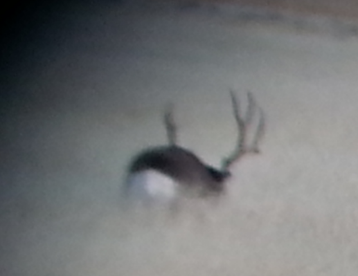 2015-11-14 18.20.02.png