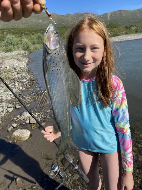 1st Grayling.JPG