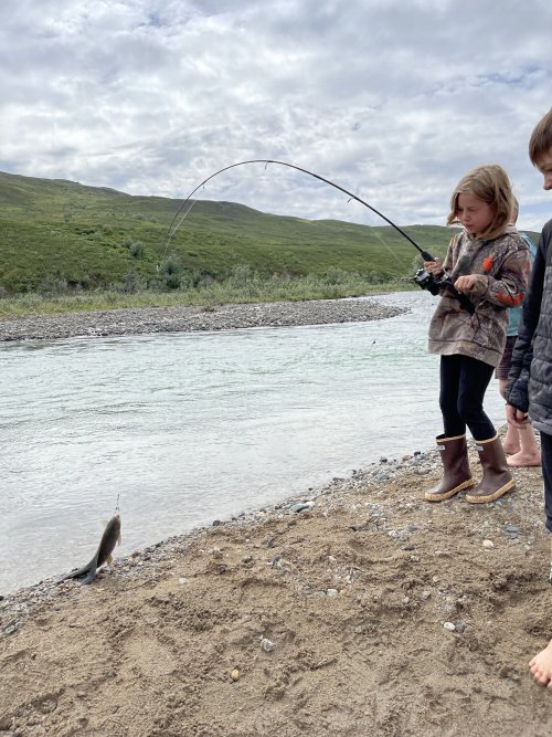 1st Artic grayling.JPG